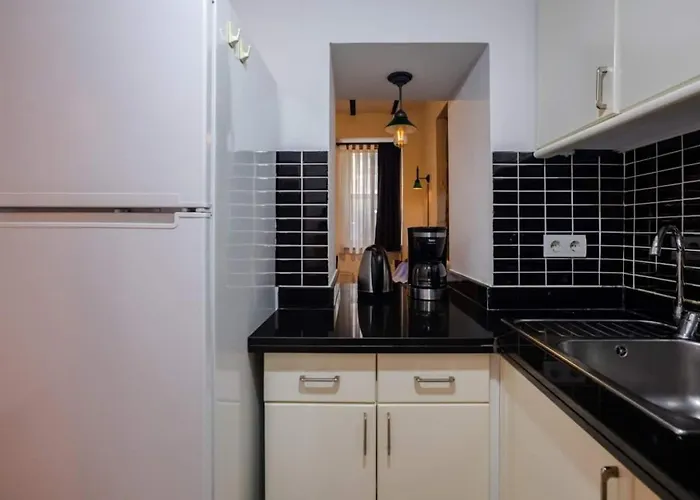 Charming 2bd2bath Galata Tower Unique Home! #409 *